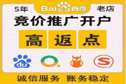 成功SEM竞价托管案例分析报告